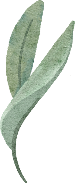 sage leaf