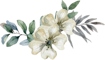 Silver Sage Flowers and Leaves